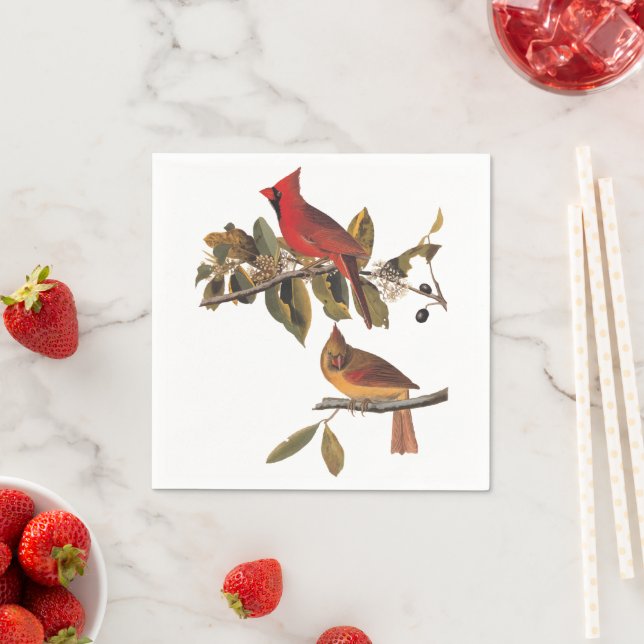 Cardinal Grosbeak Audubon Birds of America Napkin (Insitu)