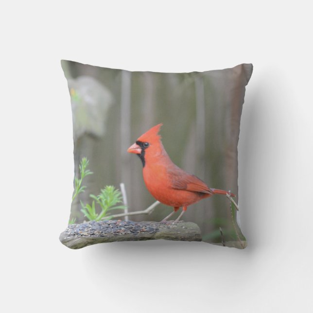 Cardinal guarding its stash! cushion (Front)