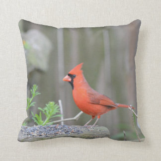 Cardinal guarding its stash! cushion