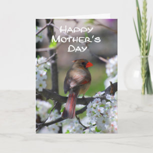 Cardinal Happy Mother's Day Card