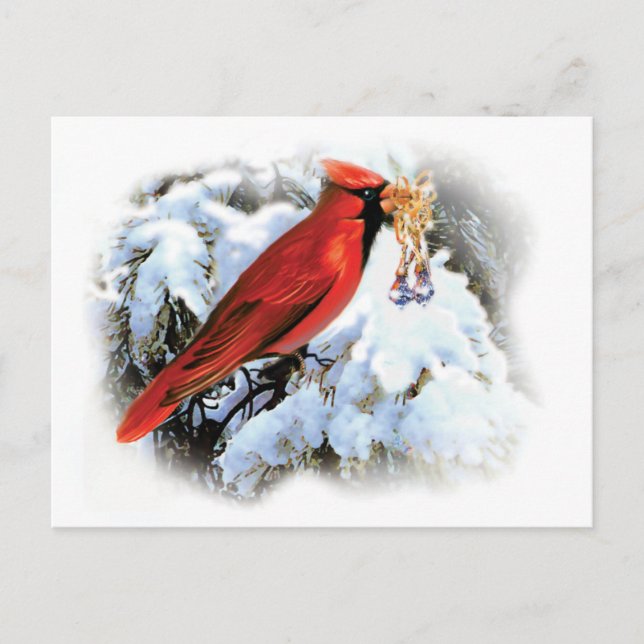 Cardinal Holiday Postcard (Front)