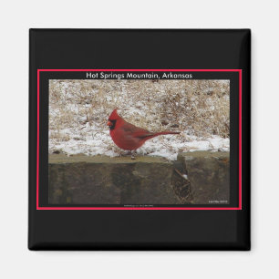 Cardinal Hot Springs Nat. Park Mountain AR Gifts Magnet