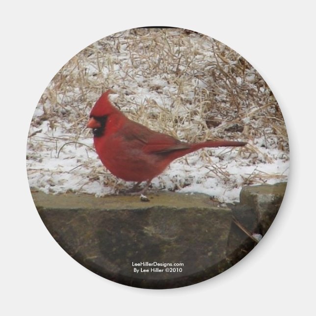 Cardinal Hot Springs Nat. Park Mountain AR Gifts Magnet (Front)