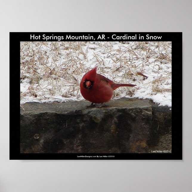 Cardinal Hot Springs Nat. Park Mountain Poster II (Front)