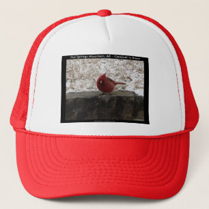 Cardinal Hot Springs Nat. Park Mt AR Gifts Apparel Trucker Hat