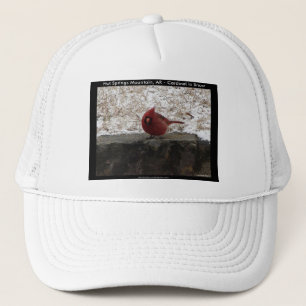 Cardinal Hot Springs Nat. Park Mt AR Gifts Apparel Trucker Hat