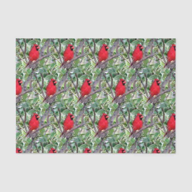 Cardinal in a Lemon Tree 2  - Tissue Paper (Front)