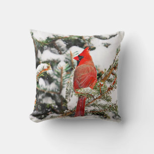 Cardinal in a pine tree cushion