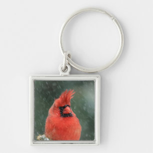 Cardinal in a pine tree during a snow storm key ring