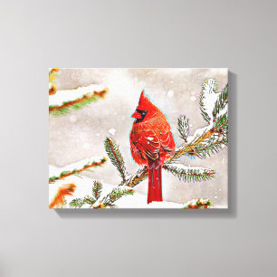 Cardinal in a pine tree in winter canvas print