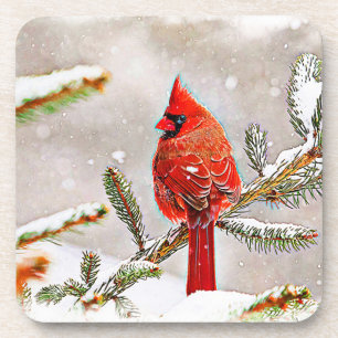 Cardinal in a pine tree in winter coaster