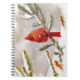 Cardinal in a pine tree in winter spiral notebook