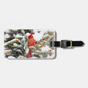 Cardinal in a pine tree luggage tag