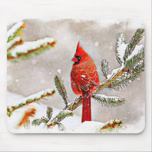 Cardinal in a pine tree mouse pad