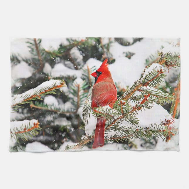 Cardinal in a pine tree tea towel (Horizontal)