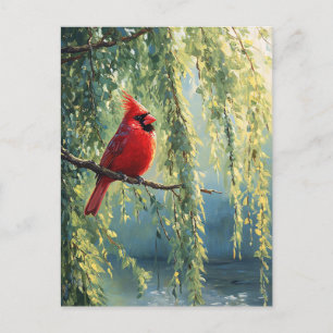 Cardinal in a Willow Tree Postcard