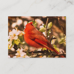 Cardinal in Apple Blossoms ATC Business Card
