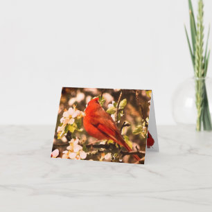 Cardinal in Apple Blossoms Thank You Card