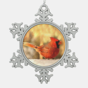 Cardinal in Autumn Ornament