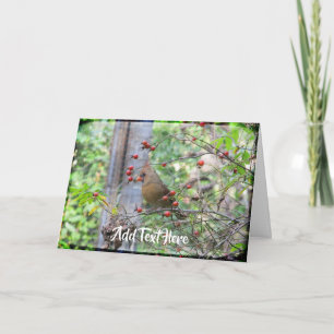 Cardinal in Berry Branches Winter Card