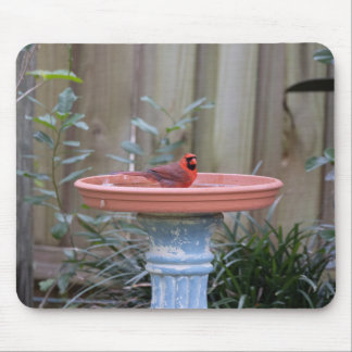 Cardinal in Birdbath blue Mouse Pad