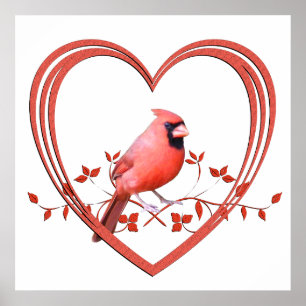 Cardinal in Heart Poster
