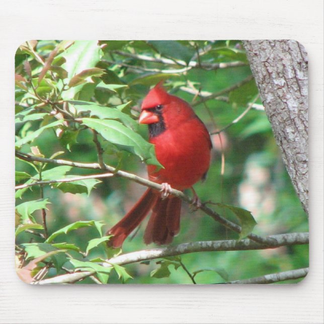 Cardinal in Holly Mouse Pad (Front)