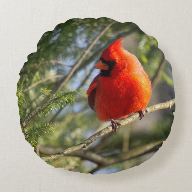 Cardinal in Pines Round Cushion (Front)