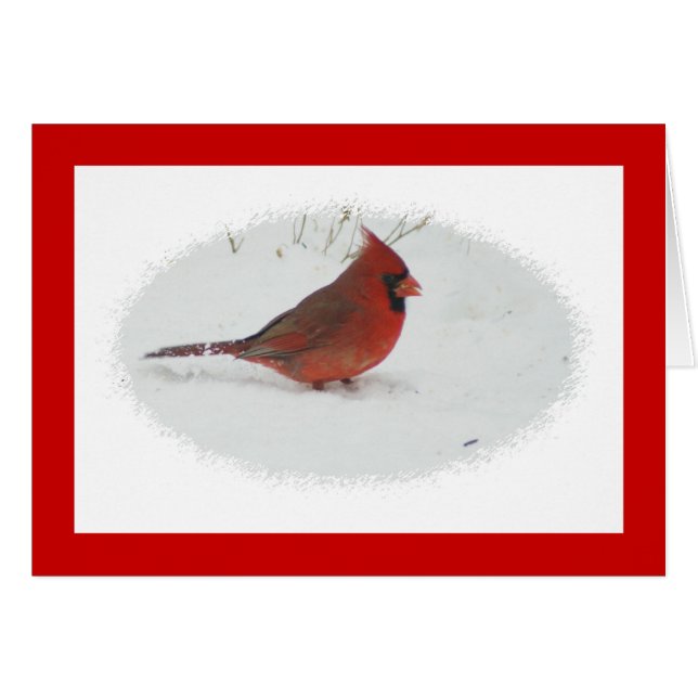 Cardinal in Snow (Front Horizontal)