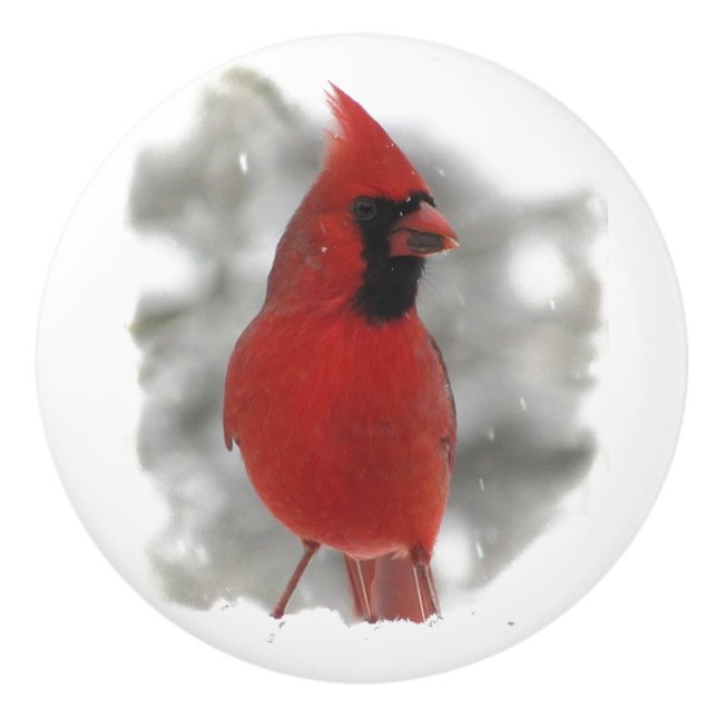 Cardinal in Snow Ceramic Knob (Front)