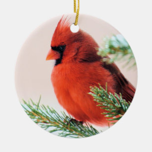 Cardinal in Snow Dusted Fir Ceramic Tree Decoration
