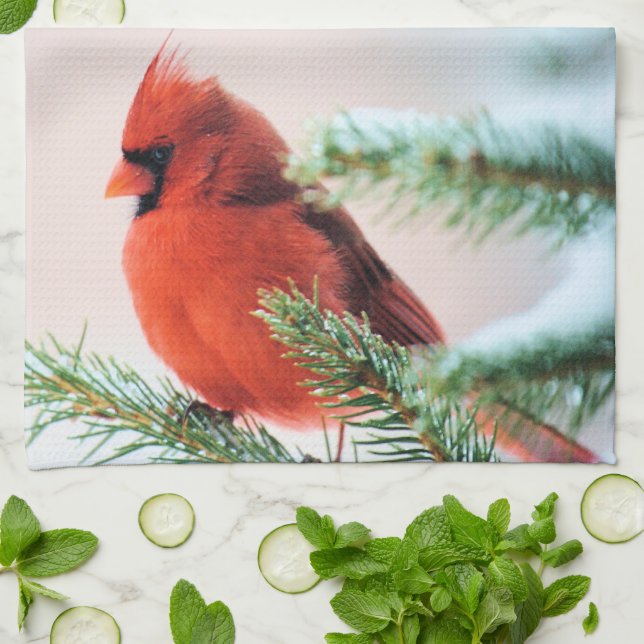 Cardinal in Snow Dusted Fir Tea Towel (Folded)
