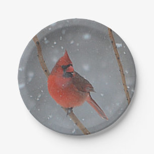 Cardinal In Snow Paper Plate