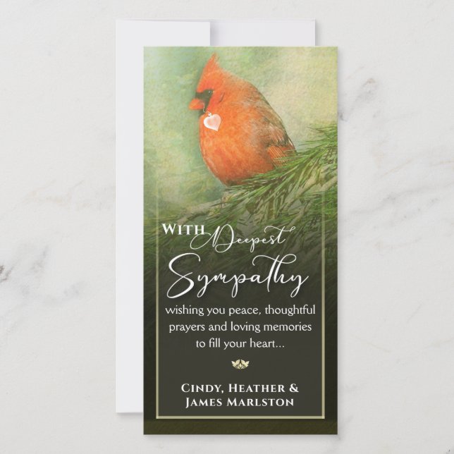 Cardinal in Spruce 4x8  Deepest Sympathy Card (Front)