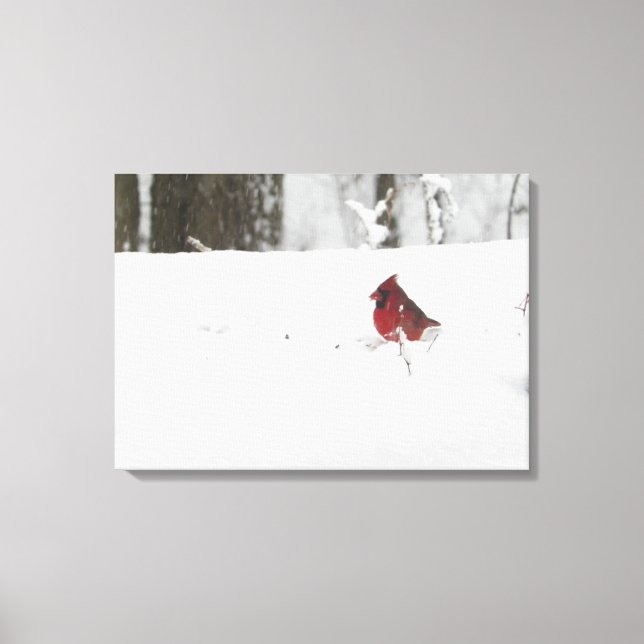 Cardinal in the Snow Canvas Print (Front)