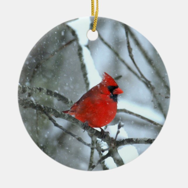 Cardinal In The Snow Ceramic Tree Decoration (Front)