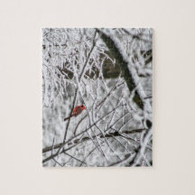 Cardinal in the Snowy Trees