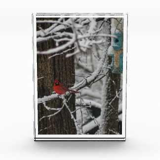 Cardinal in the Snowy Woods III Photo Block