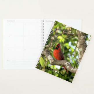 Cardinal in Tree Personalised Planner