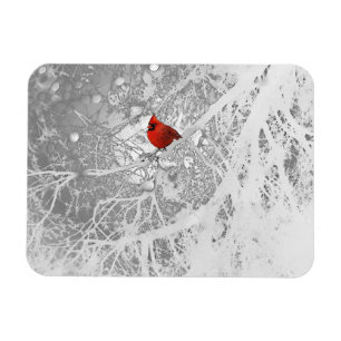 Cardinal in Winter Magnet