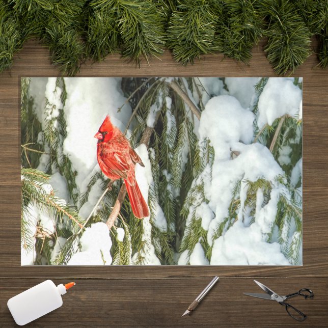 Cardinal In Winter Pine Tree Snow Tissue Paper (Creator Uploaded)