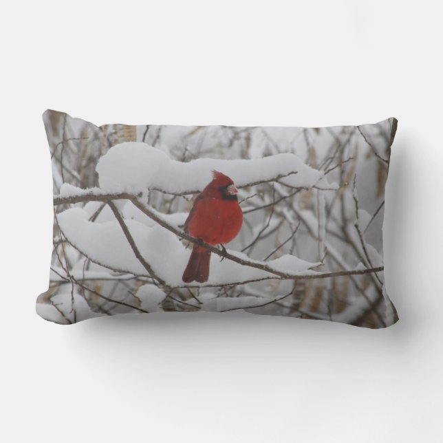 Cardinal in winter snow pillow (Front)