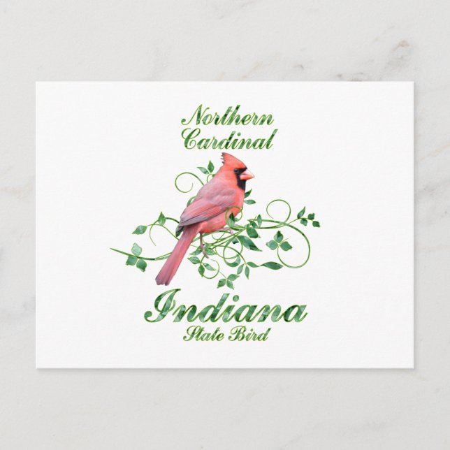 Cardinal Indiana State Bird Postcard (Front)
