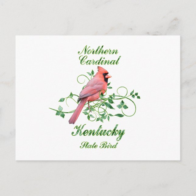 Cardinal Kentucky State Bird Postcard (Front)