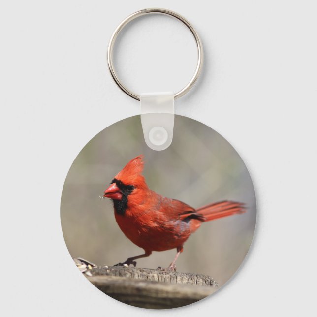 Cardinal keychain (Front)