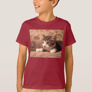 Cardinal Kitten Kids Shirt