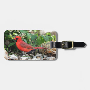 Cardinal Luggage Tag