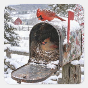 Cardinal Nest in a Snowy Mailbox Square Sticker