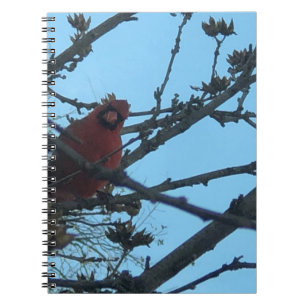 Cardinal Notebook