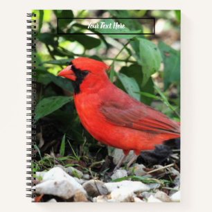 Cardinal Notebook